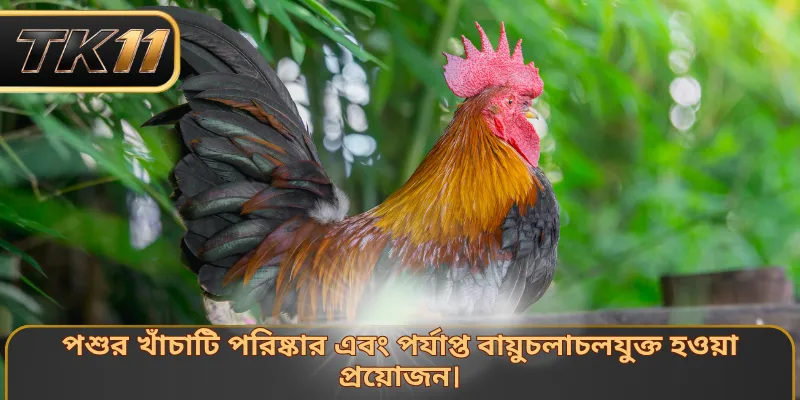 পশুর খাঁচাটি পরিষ্কার এবং পর্যাপ্ত বায়ুচলাচলযুক্ত হওয়া প্রয়োজন।