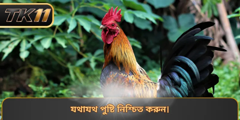 যথাযথ পুষ্টি নিশ্চিত করুন।