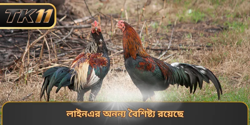 লাইনএর অনন্য বৈশিষ্ট্য রয়েছে